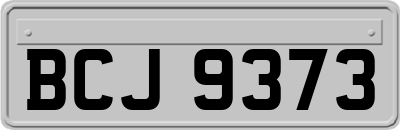 BCJ9373