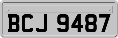 BCJ9487