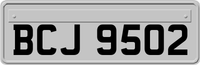 BCJ9502