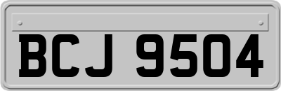 BCJ9504