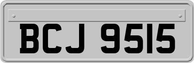 BCJ9515