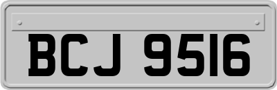 BCJ9516