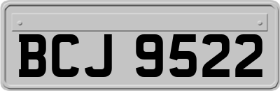 BCJ9522