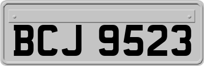 BCJ9523