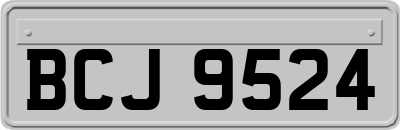 BCJ9524