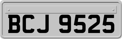 BCJ9525
