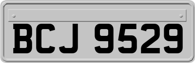 BCJ9529