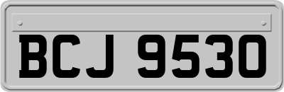 BCJ9530