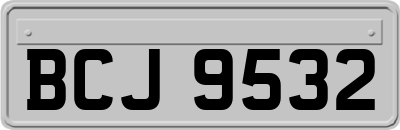 BCJ9532