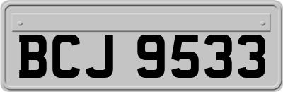 BCJ9533
