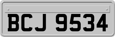 BCJ9534