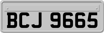 BCJ9665