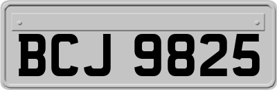 BCJ9825