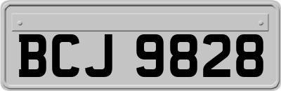 BCJ9828