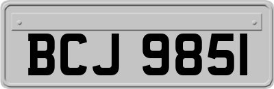 BCJ9851