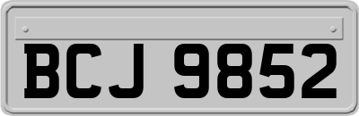 BCJ9852