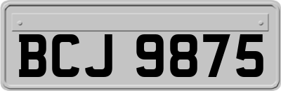 BCJ9875