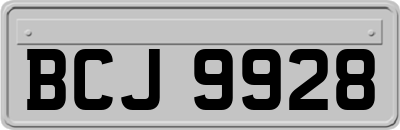 BCJ9928