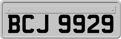 BCJ9929