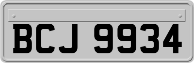 BCJ9934