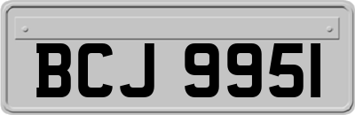 BCJ9951