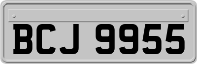 BCJ9955