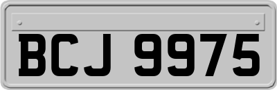 BCJ9975