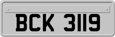 BCK3119