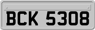 BCK5308