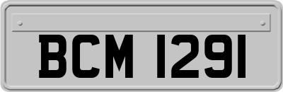 BCM1291