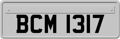 BCM1317