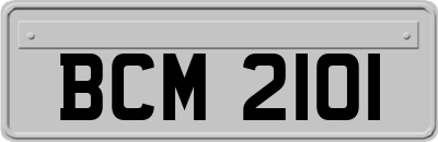 BCM2101