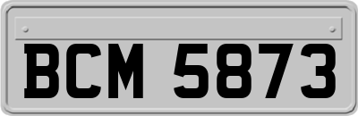 BCM5873