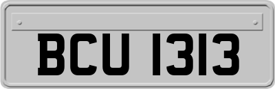 BCU1313