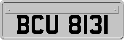 BCU8131