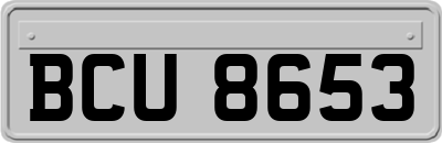 BCU8653