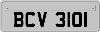 BCV3101