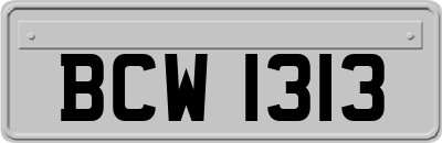 BCW1313