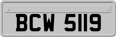 BCW5119