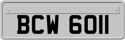 BCW6011