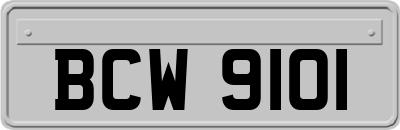 BCW9101