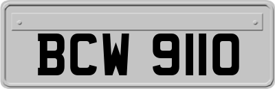 BCW9110