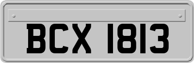 BCX1813