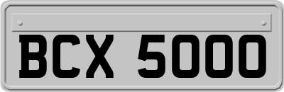 BCX5000
