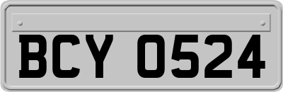 BCY0524