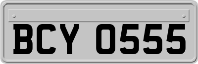 BCY0555