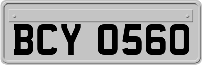 BCY0560