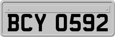 BCY0592