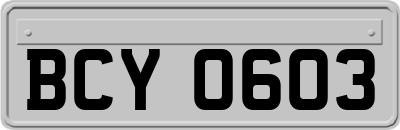 BCY0603