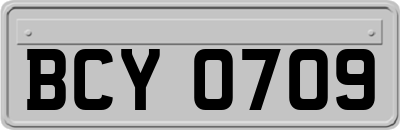 BCY0709